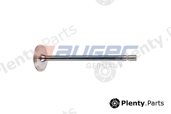 Auger 103639 — Intake Valve