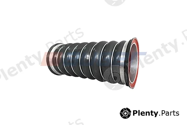 Auger 112514 — Radiator Hose