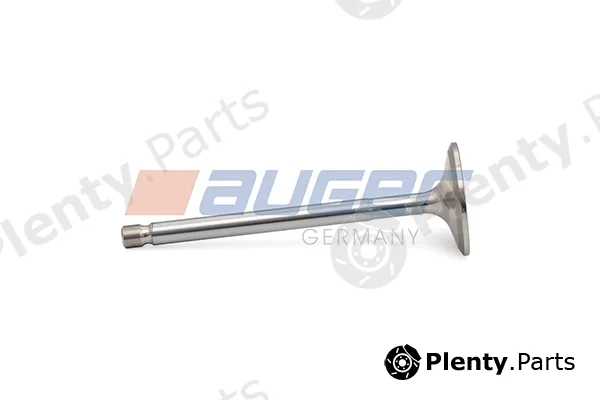 Auger 107209 — Intake Valve