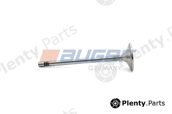 Auger 103101 — Intake Valve