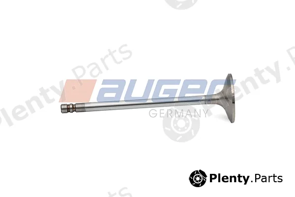 Auger 106722 — Intake Valve