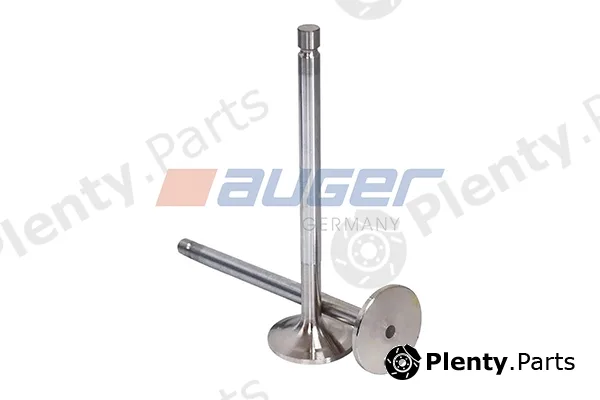 Auger 107178 — Intake Valve