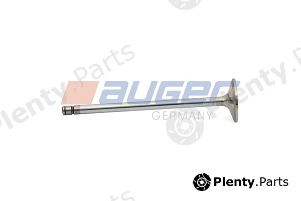 Auger 108973 — Intake Valve