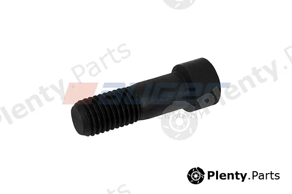 Auger 113123 — Screw