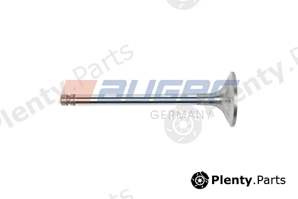 Auger 107171 — Intake Valve