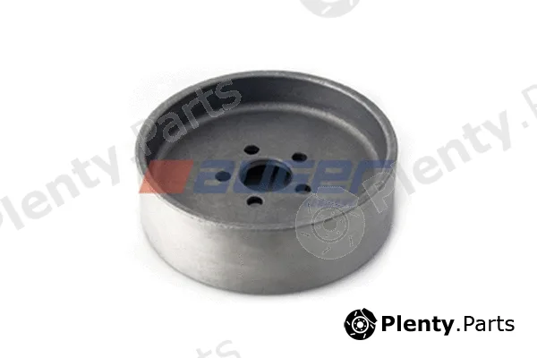 Auger 57325 — Belt Pulley, water pump