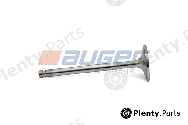 Auger 103421 — Intake Valve