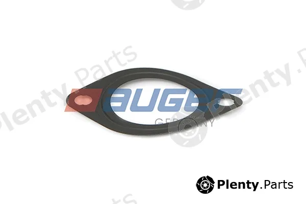 Auger 79197 — Gasket, water pump