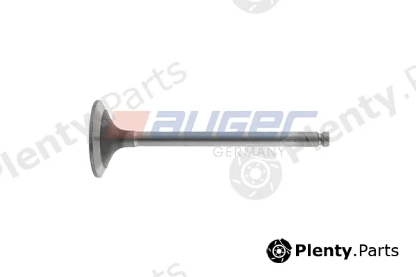 Auger 106312 — Intake Valve