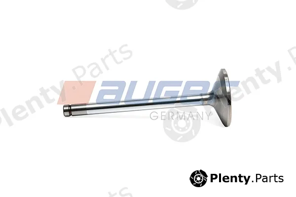 Auger 106430 — Intake Valve