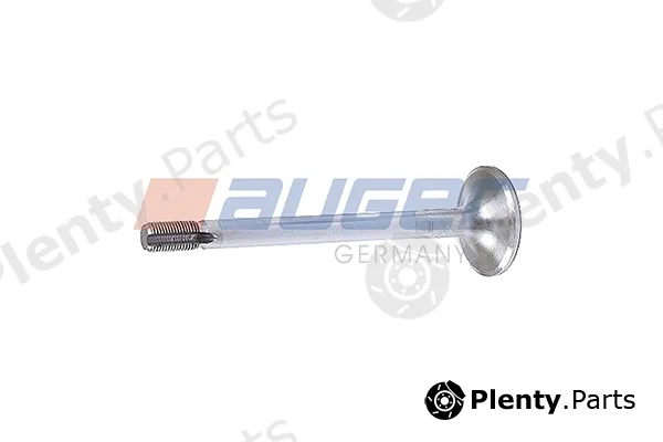 Auger 107173 — Intake Valve