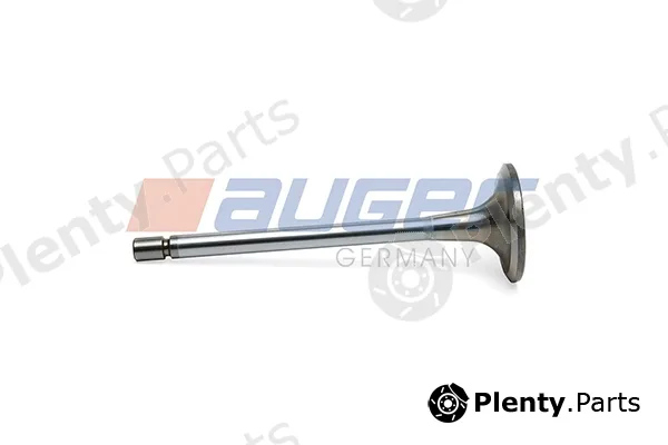 Auger 110921 — Intake Valve