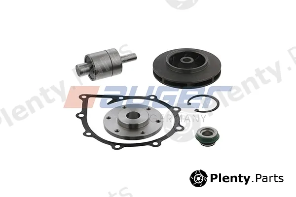 Auger 110079 — Repair Kit, water pump
