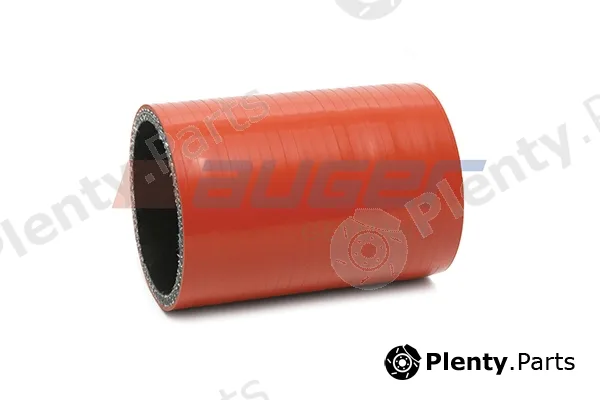 Auger 110717 — Radiator Hose