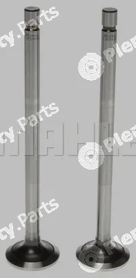 Clevite 211-2462 — Exhaust Valve