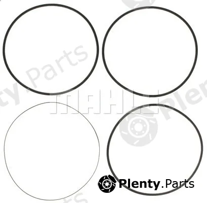 Clevite 223-7124 — O-Ring Set, cylinder sleeve