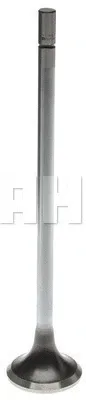 Clevite 211-4311 — Exhaust Valve