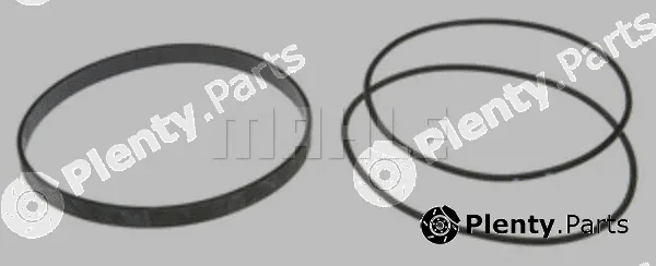 Clevite 223-7077 — O-Ring Set, cylinder sleeve