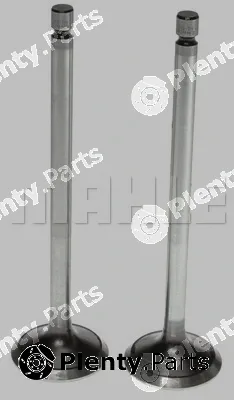 Clevite 211-4183 — Exhaust Valve