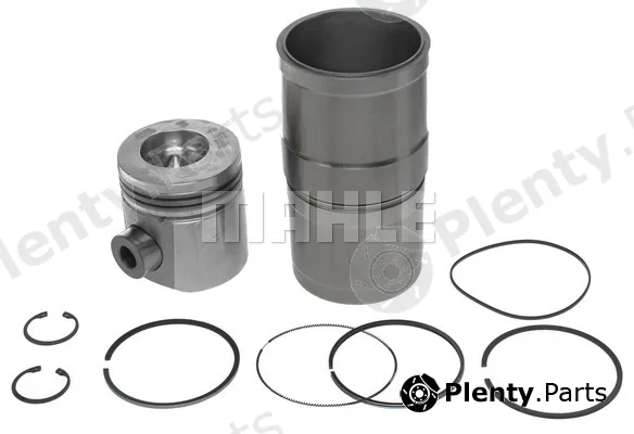 Clevite 226-1951 — Repair Set, piston/sleeve