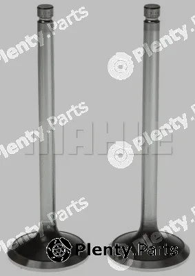 Clevite 211-3202 — Exhaust Valve