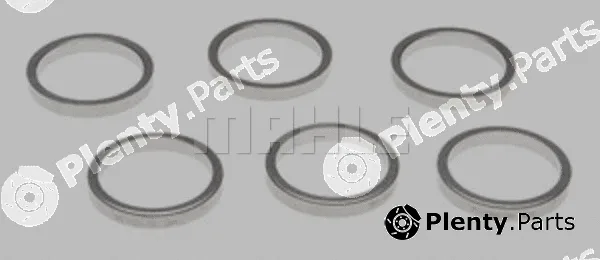 Clevite 218-4507 — Valve Seat