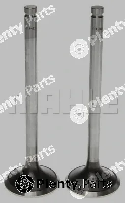 Clevite 211-3204 — Exhaust Valve
