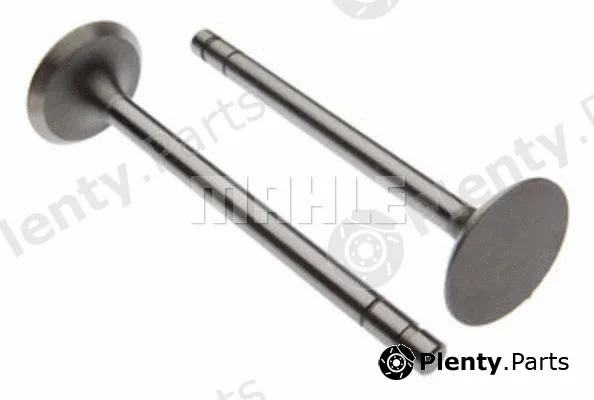 Clevite 211-1066 — Intake Valve