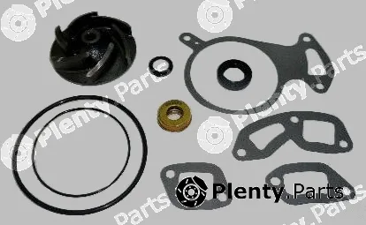 Air Fren 12.R410.030.1 — Repair Kit, water pump