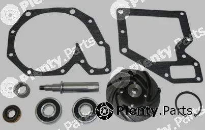 Air Fren 12.R350.030 — Repair Kit, water pump