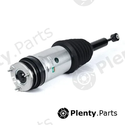 Arnott AS-3175 — Air Suspension Strut Original OES-Product
