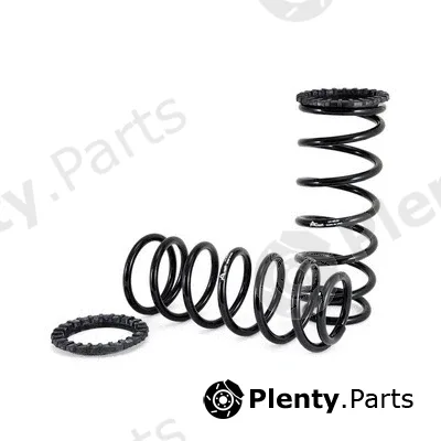 Arnott C-2410 — Suspension Set, springs