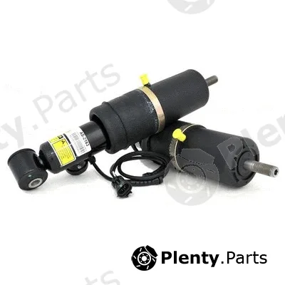 Arnott AS-2163 — Air Suspension Strut Original Arnott Product