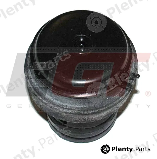 EGT 601144EGT — Mounting, engine