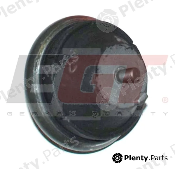 EGT 601125EGT — Mounting, engine