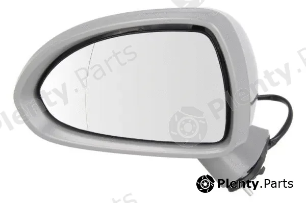 Blic 5402-04-2001989P — Exterior Mirror