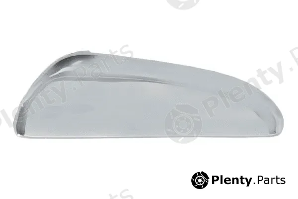 Blic 6010-23-012409P — Exterior Door Handle