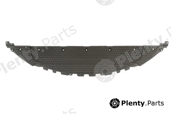 Blic 6601-02-5725860P — Engine Guard/Skid Plate