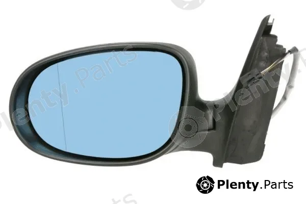Blic 5402-04-1139518 — Exterior Mirror