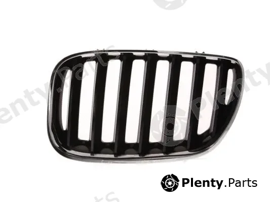Blic 6502-07-0095995P — Radiator Grille