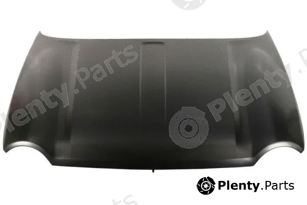 Blic 6803-00-3211280P — Bonnet