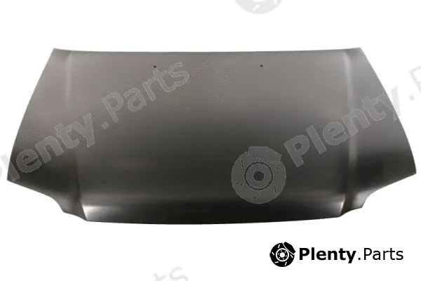 Blic 6803-00-2955280P — Bonnet