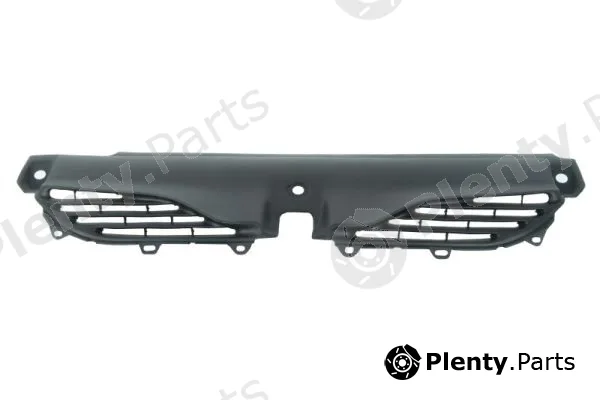 Blic 6502-07-6049990P — Radiator Grille