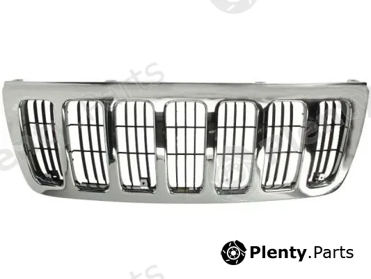 Blic 5601-00-3204994P — Radiator Grille