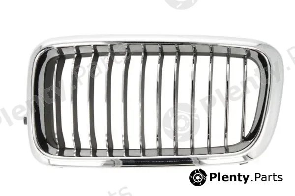 Blic 6502-07-0075995PP — Radiator Grille