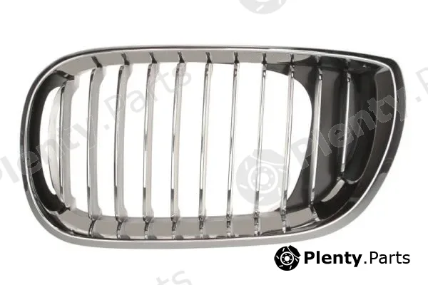 Blic 6502-07-0061991PP — Radiator Grille