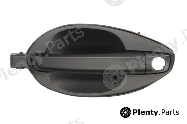 Blic 6010-20-040401P — Exterior Door Handle