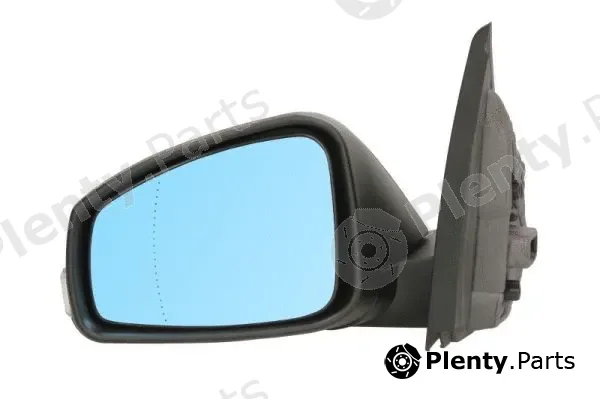 Blic 5402-09-2002175P — Exterior Mirror
