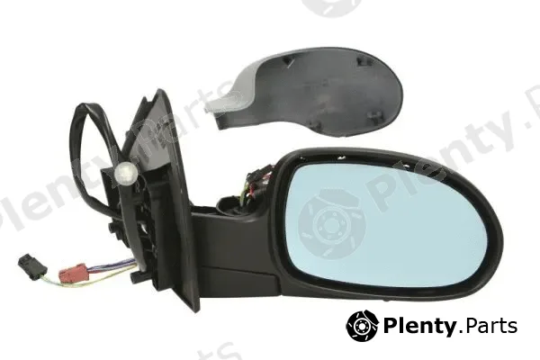 Blic 5402-04-1131852 — Exterior Mirror
