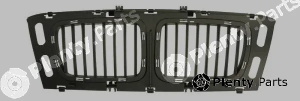 Blic 6502-07-0057999P — Radiator Grille